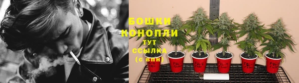 дмт Медвежьегорск