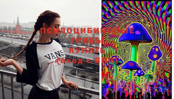 стаф Абинск
