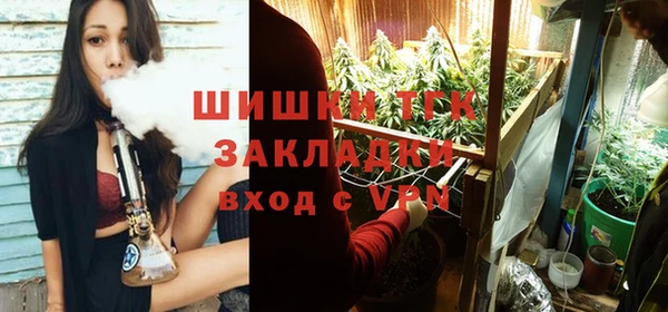 jwh Гусь-Хрустальный