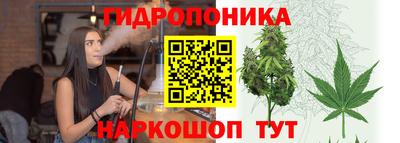 сатива Чебаркуль