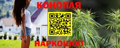 бошки Шебекино