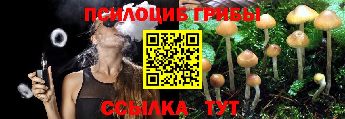 Оренбург  Псилоцибиновые грибы Psilocybe  Вход с VPN 